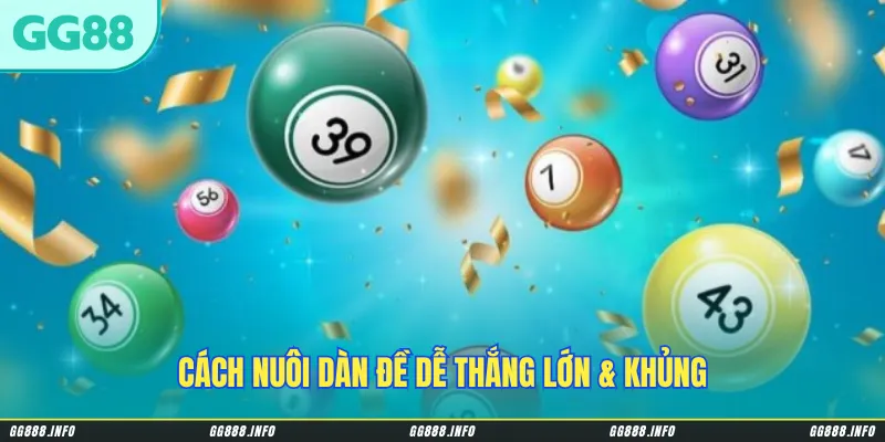 Cách nuôi dàn đề dễ thắng lớn & khủng