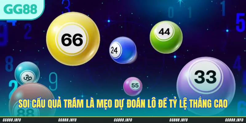 Soi cầu quả trám là mẹo dự đoán lô đề mang lại tỷ lệ thắng cao